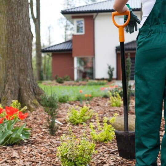 Raised Garden Bed With Legs The Must Have Guide For 2024 - lbbkxop