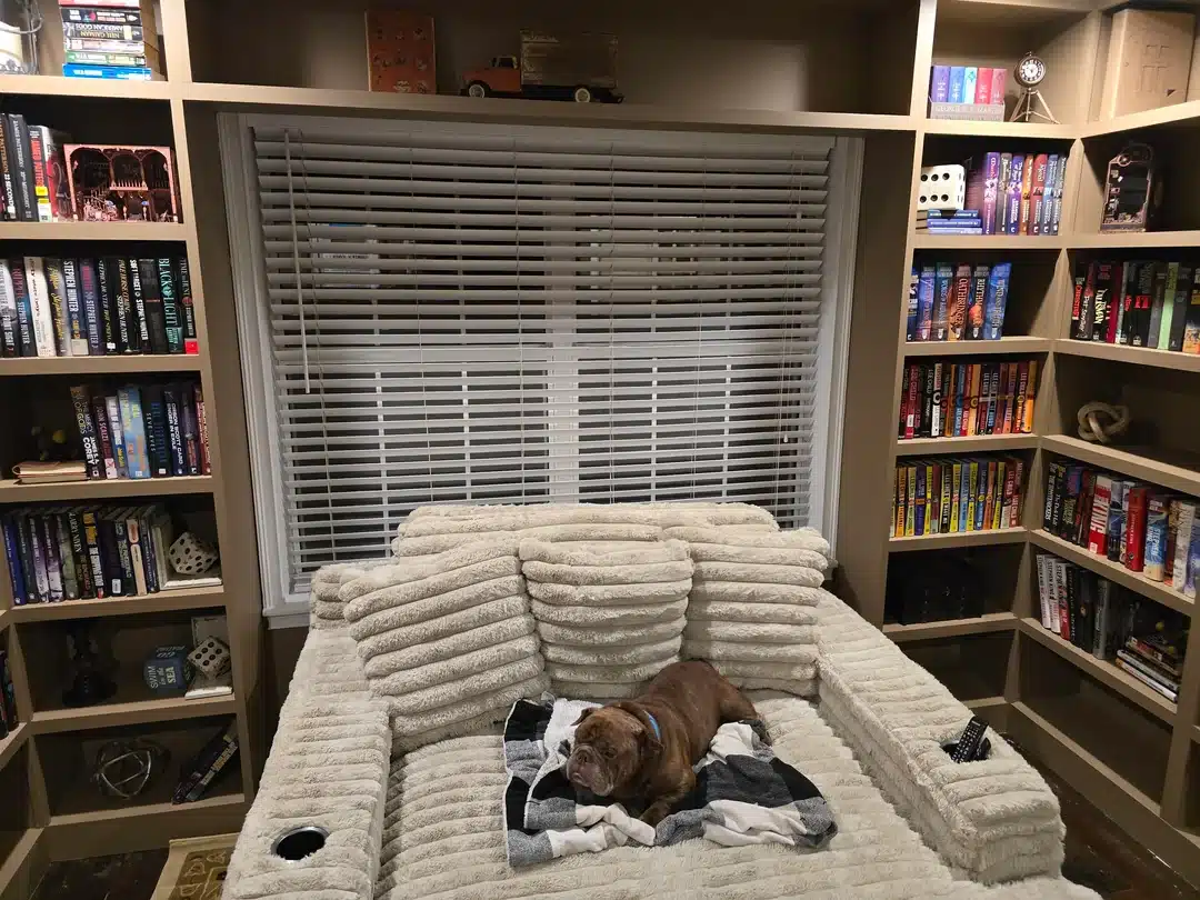 Billy home library reading nook