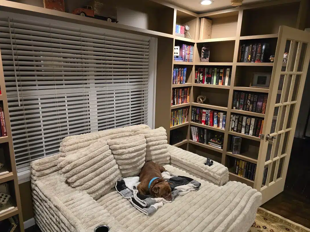 Billy bookcase for home library reading nook