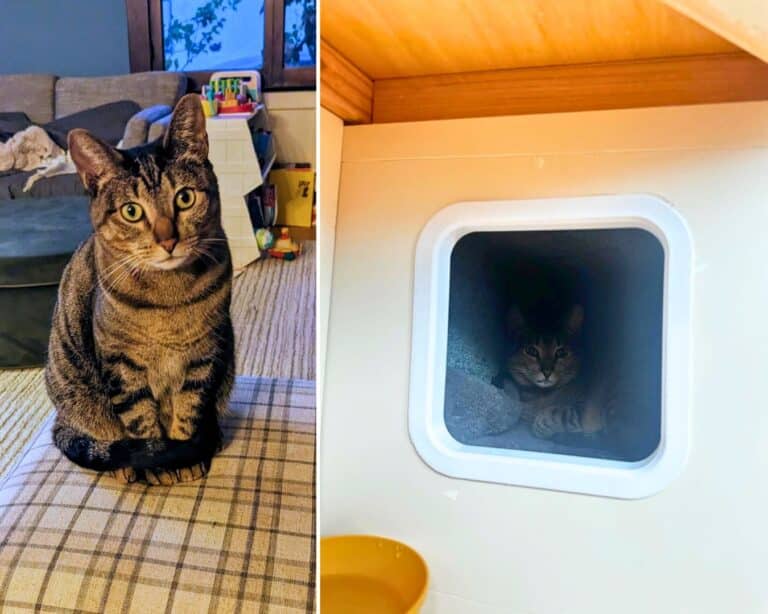 ikea-besta-storage-bench-cat-house-768x614 - IKEA Hackers IKEA BESTÅ cat litter bench hack