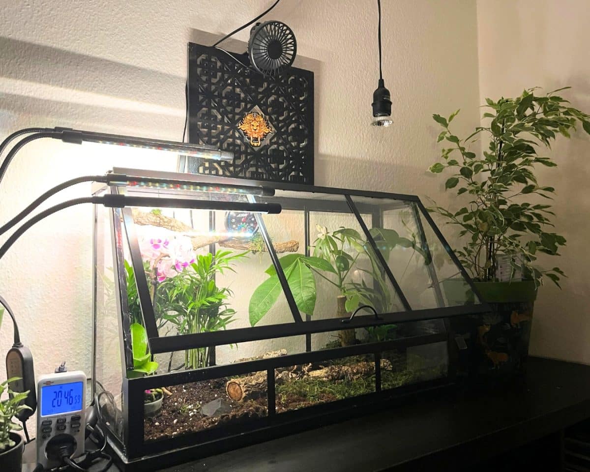 IKEA ÅKERBÄR greenhouse hack - insect and mantis terrarium - IKEA Hackers IKEA ÅKERBÄR greenhouse hack - insect and mantis terrarium