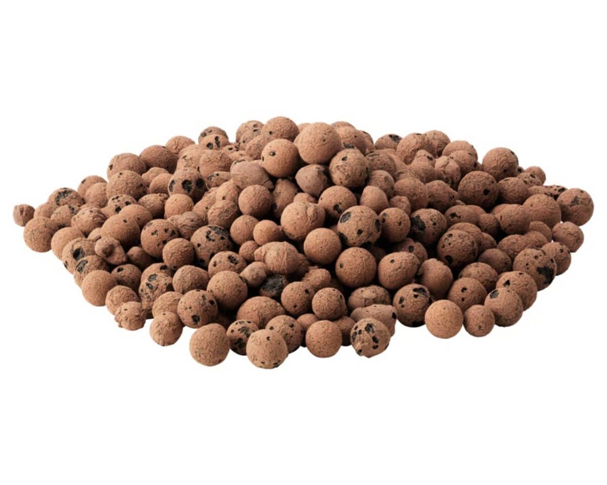 ODLA Growing Pebbles