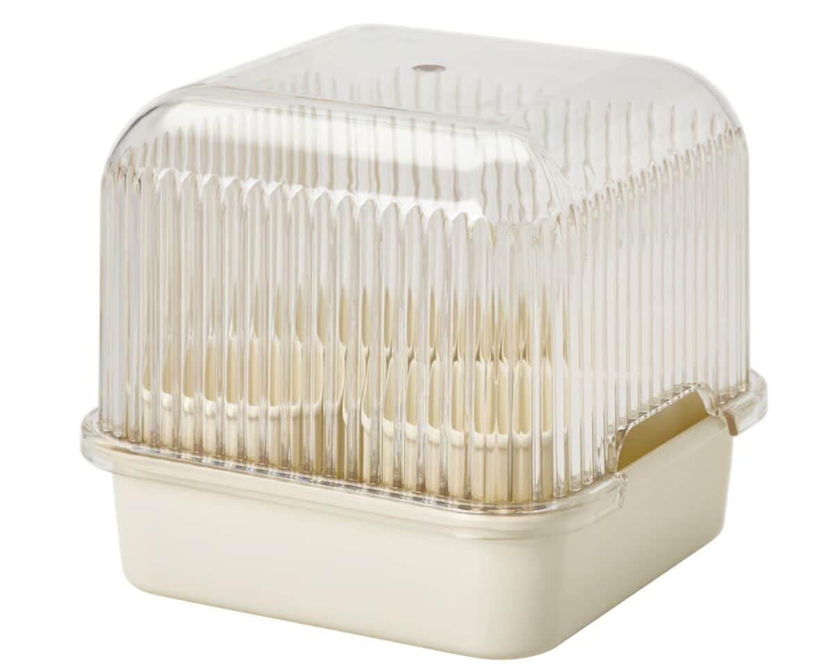 DOFTRIPS Plant Starter Set 