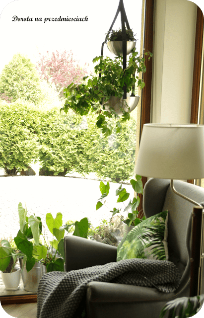 pot-hanger-1 - IKEA Hackers Sunlit living room corner with a gray armchair, hanging and potted plants, and a lamp by a large window; text 'Dorota na przedmieściach' in the upper left.